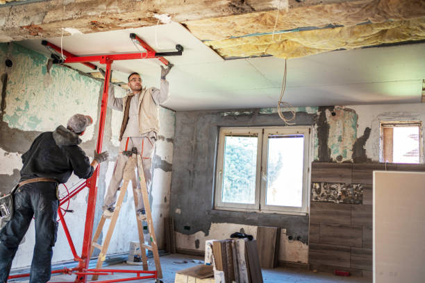 Best Basement Insulation  in Amboy, IL